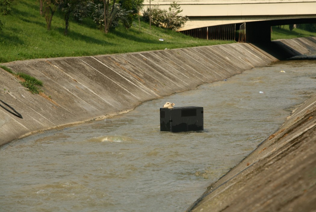 black box 1 copy 164