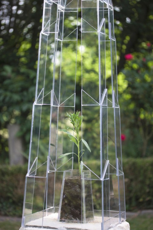 2 Neoshrine IMG 5190