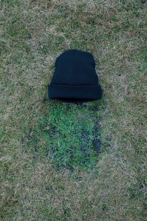 Dung Gods 2 IMG 8052