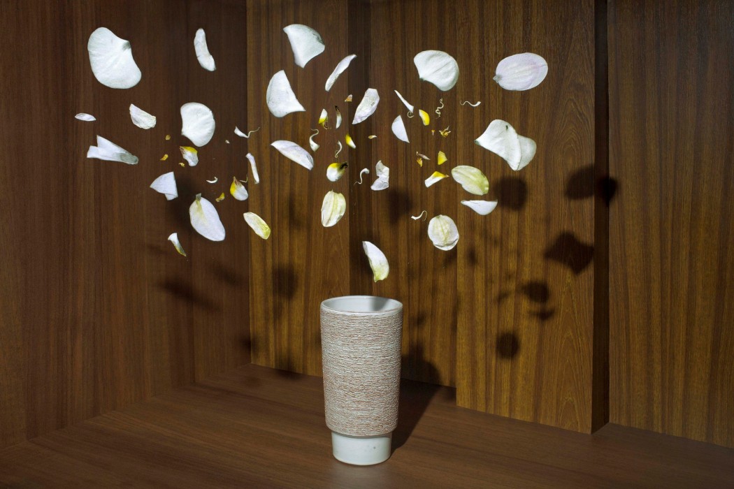 IMG 8925 ORCHI FINAL LAST