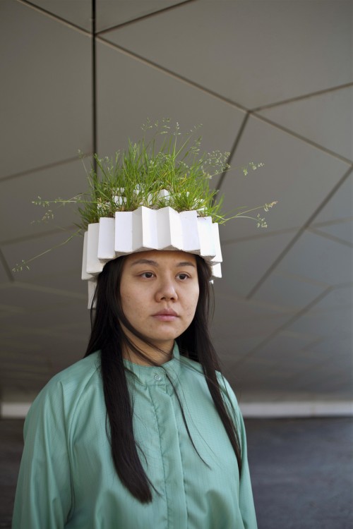 poa annua web 1 copy