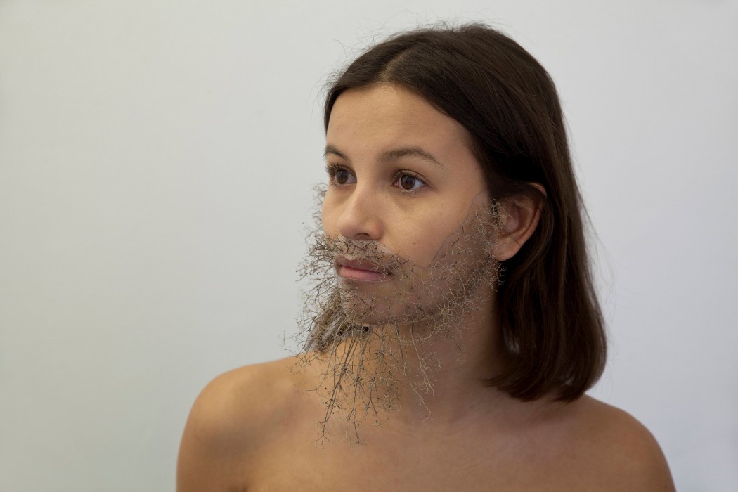 Angel x Galium mollugo 9734