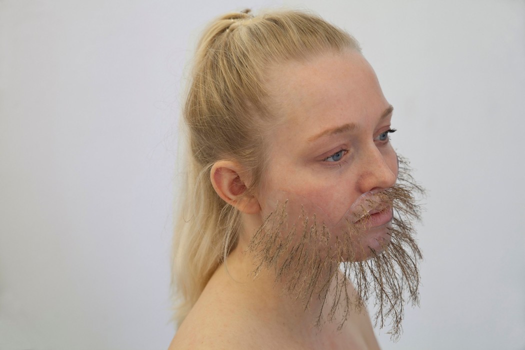 Linde x Berteroa incana 9808