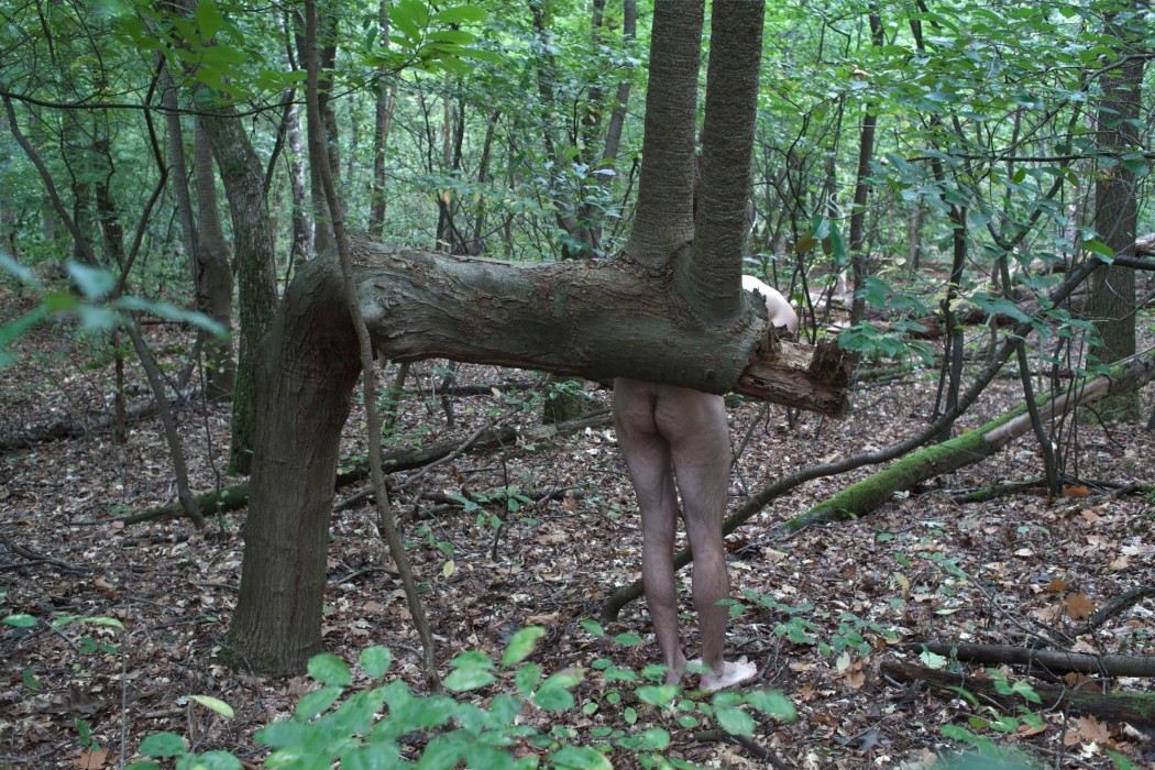 dick 3 alike a tree web